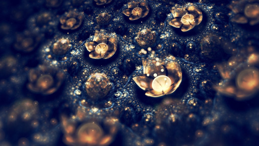 789778 (a): :1920x1080
